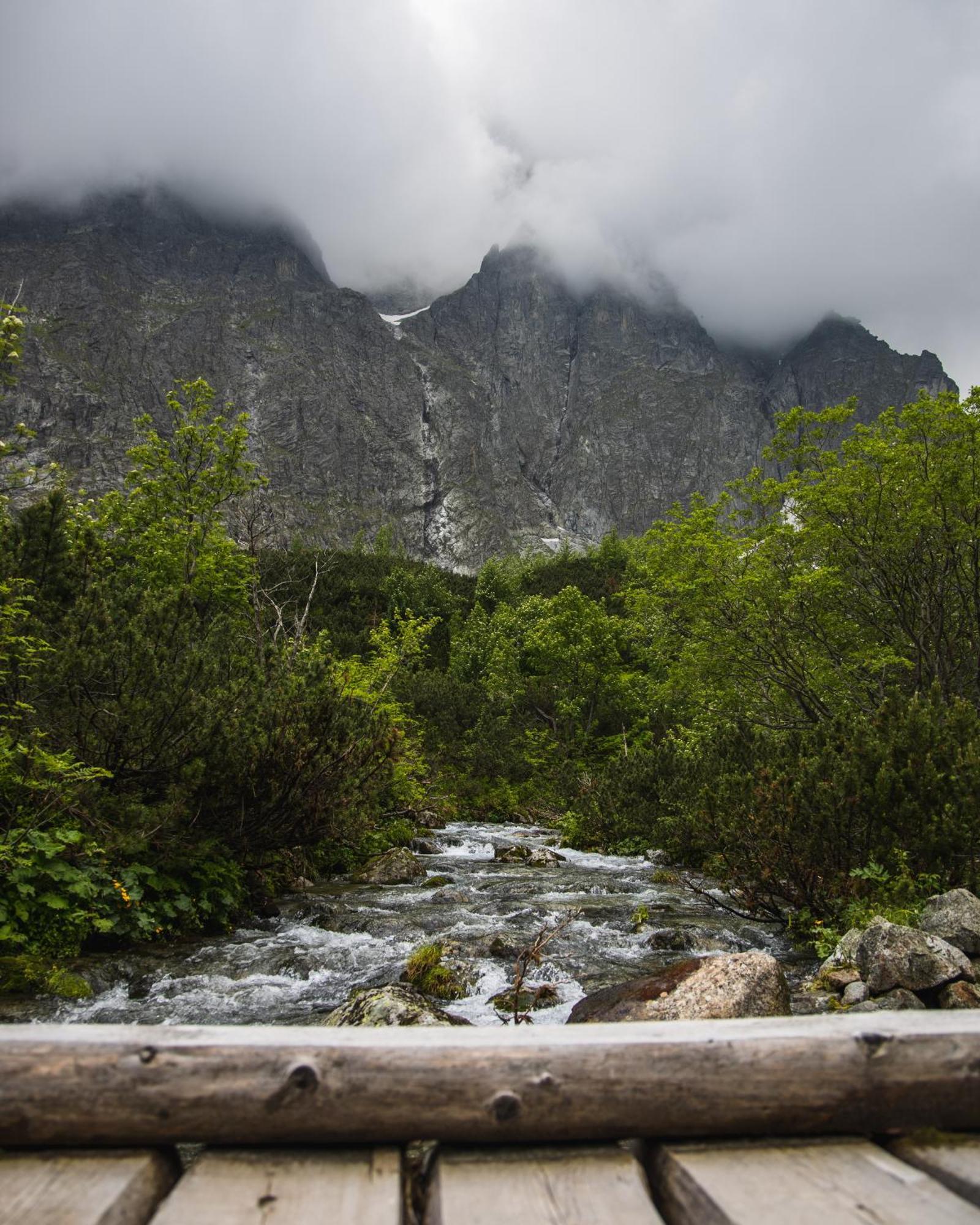 Vysoké Tatry Apartmany Lesy A Luky - V Srdci Tatier מראה חיצוני תמונה