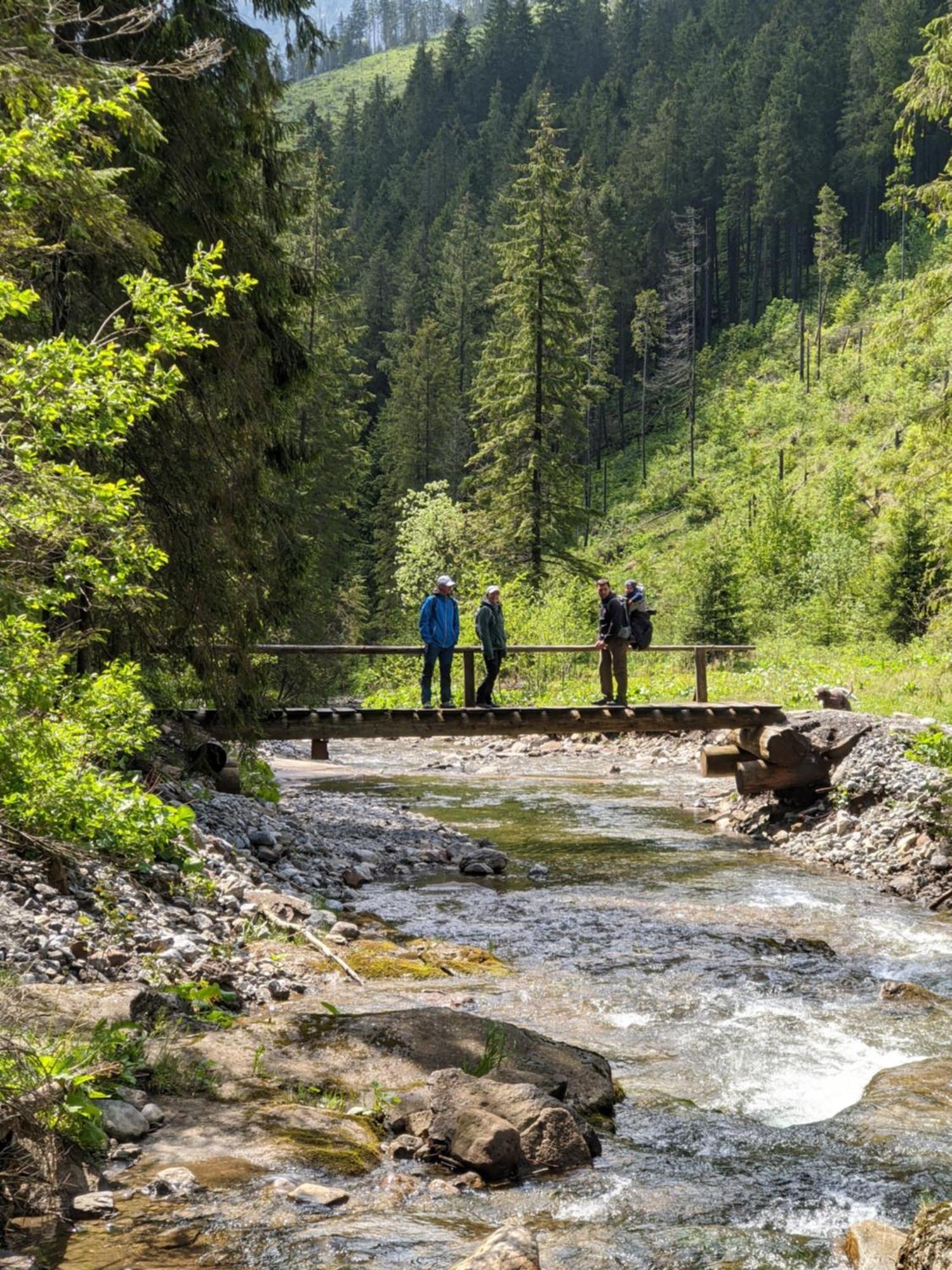 Vysoké Tatry Apartmany Lesy A Luky - V Srdci Tatier מראה חיצוני תמונה